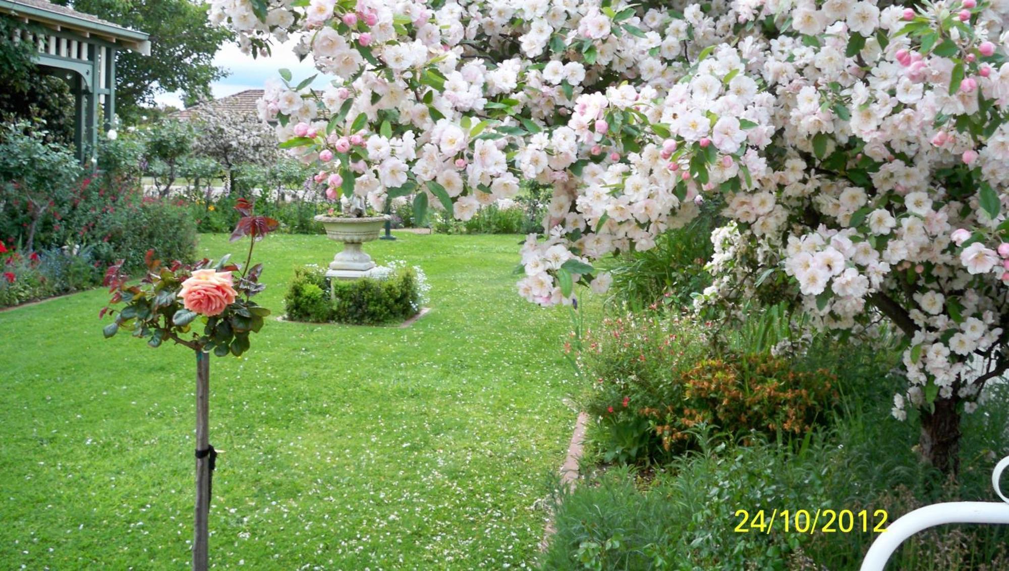 Dalfruin B&B Bairnsdale Buitenkant foto